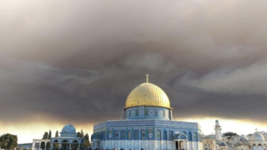 Photo of الحريق في جبال القدس: النيران تلتهم نحو 17 ألف دونم