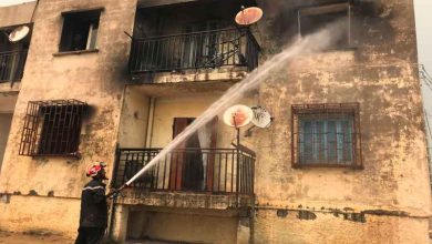 Photo of ارتفاع حصيلة ضحايا حرائق الغابات في الجزائر إلى 65 شخصا بينهم 28 عسكريا