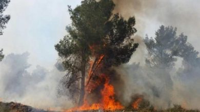 Photo of قائد الإطفاء في القدس: النيران المشتعلة في جبال القدس بفعل فاعل