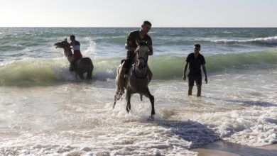 Photo of حالة الطقس: درجات الحرارة أعلى بقليل من المعدل