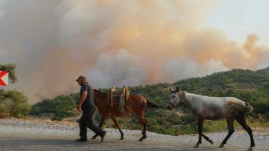 Photo of نصف مليار إنسان يواجهون “مخاطر عالية”.. تقرير أممي: دول البحر المتوسط ستشهد موجات حر غير مسبوقة