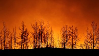 Photo of العالم يحترق.. التكنولوجيا تدخل المعركة
