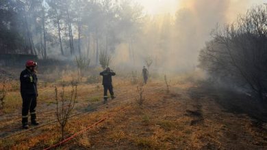 Photo of تركيا.. السيطرة على 145 حريقاً من أصل 154 اندلعت بغابات جنوب البلاد