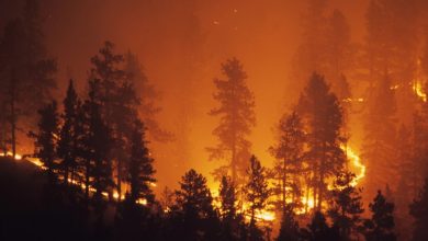 Photo of العالم يشتعل والوضع يزداد سوءاً! إليك كيف تؤثر الحرائق على تركيب السحاب بشكل يمنع هطول الأمطار