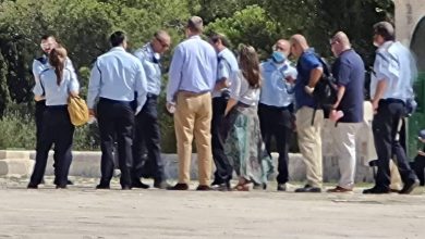 Photo of الشيخ صبري: اقتحام وفد أمريكي للأقصى يحمل دلالات خطيرة