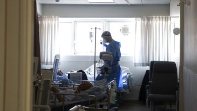 Photo of 34 وفاة بكورونا و8 آلاف و78 إصابة الخميس في البلاد