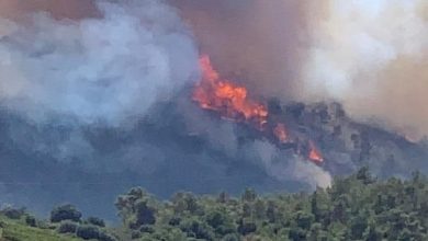 Photo of حريق كبير في أحراش “أبو غوش” غرب القدس المحتلة