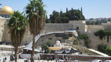 Photo of الاحتلال يصدر مناقصة سرية لبناء جسر باب المغاربة