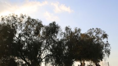 Photo of حالة الطقس: أجواء حارة نسبيًا وانخفاض طفيف على درجات الحرارة