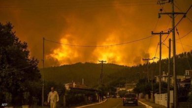 Photo of “احتراق عالمي”.. يوليو الأكثر حرا على الإطلاق خلال 124 عاما