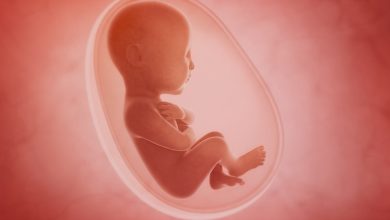 Photo of كيفية توريث الجنين؟