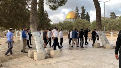 Photo of مستوطنون يقتحمون الأقصى