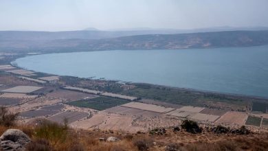 Photo of حالة الطقس: أجواء دافئة