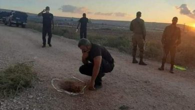 Photo of هيئة الأسرى: إدارة السجون تجري تنقلات واسعة في صفوف الأسرى
