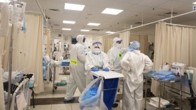 Photo of خلال 24 ساعة: 42 وفاة بكورونا و3550 إصابة جديدة في البلاد