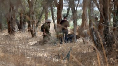 Photo of مداهمات في جنين.. الاحتلال يواصل البحث ويبث رواية جديدة عن مكان الأسيرين المطاردين