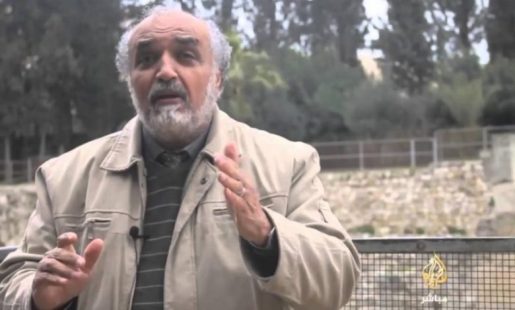 الدكتور جمال عمرو