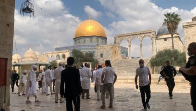 Photo of هيئات إسلامية مقدسية: نحذر من الانتهاكات المتواصلة للمسجد الأقصى ونطالب الأمة بالدفاع عن حرمته