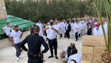 Photo of 290 مستوطنًا يقتحمون الأقصى بعيد “الغفران”