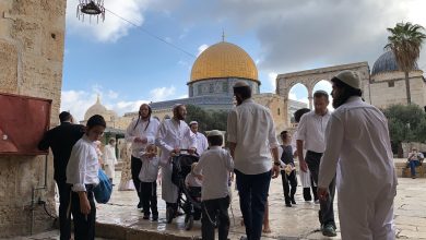 Photo of 136 مستوطنًا يقتحمون باحات الأقصى
