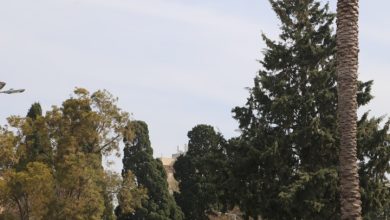 Photo of حالة الطقس: انخفاض ملموس ودرجات الحرارة تبقى أعلى من معدلها