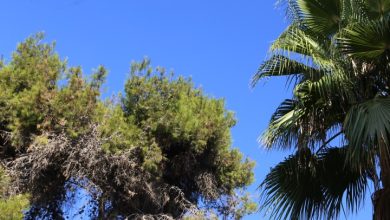 Photo of حالة الطقس: ارتفاع طفيف على درجات الحرارة