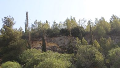 Photo of حالة الطقس: أجواء غائمة ولطيفة ومعتدلة نهارًا