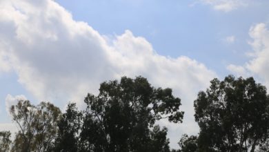 Photo of حالة الطقس: انخفاض ملموس على درجات الحرارة