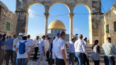 Photo of 117 مستوطنًا يقتحمون الأقصى وسط قيود مشددة