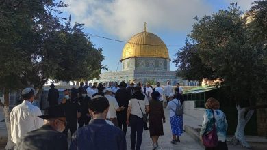 Photo of دعوات يهودية لاقتحامات “مركزية” للأقصى عشية “عيد الغفران”