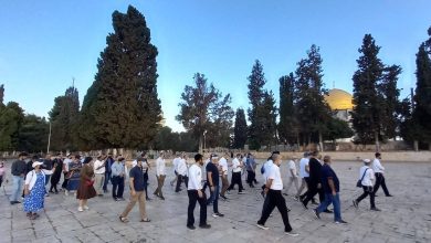 Photo of 205 مستوطنين يقتحمون “الأقصى” عشية “عيد الغفران”