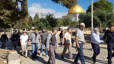 Photo of جماعات يهودية تستعد لاقتحامات كبيرة للأقصى خلال الشهر الحالي