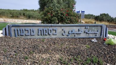 Photo of بسمة طبعون: اعتقال رجل بشبهة التسبب بإصابة زوجته برصاصة من مسدس