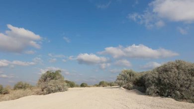 Photo of حالة الطقس: حار فوق المعتاد لمثل هذا الوقت