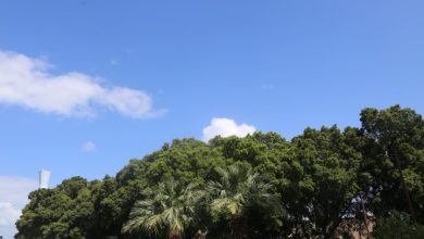 Photo of حالة الطقس: حار فوق المعدل وإمكانية هطول أمطار محلية