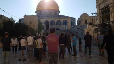 Photo of انتهاكات المستوطنين مستمرة: اقتحام العشرات للأقصى