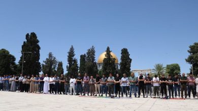 Photo of آلاف الفلسطينيين يحيون المولد النبوي بالمسجد الأقصى