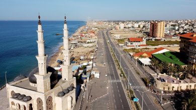 Photo of غزة تُسجل 15269 مولوداً جديداً خلال الربع الثالث لـ 2021