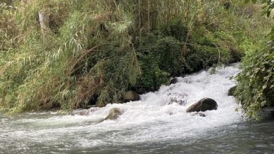 Photo of حالة الطقس: أجواء صافية ودرجات الحرارة أعلى من المعدل