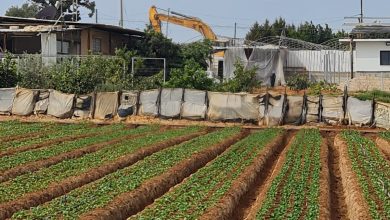 Photo of هدم منزل في قلنسوة وسط حماية قوات من الشرطة