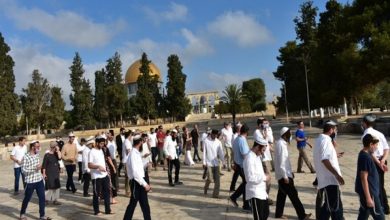 Photo of خلال أيلول: 6000 مستوطن اقتحم الأقصى ومنهم من أدى الطقوس التلمودية