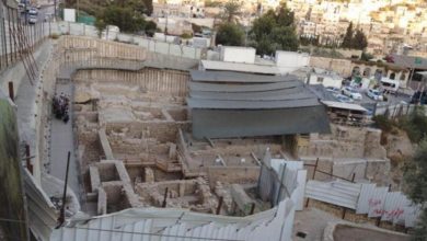 Photo of المفتي يحذر من محاولات تغيير ملامح المسجد الأقصى