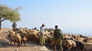 Photo of مخطط إسرائيلي لمضاعفة عدد المستوطنين في الأغوار