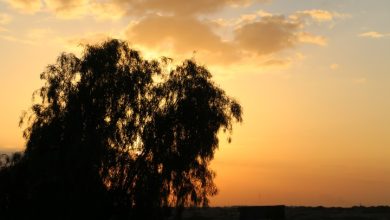 Photo of حالة الطقس: أجواء خريفية وارتفاع على درجات الحرارة