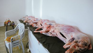 Photo of أم الفحم: مُحسنٌ يتبرع بـ 10 ذبائح للعائلات المتعففة