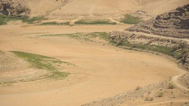 Photo of توماس فريدمان: بايدن والظروف الطبيعية يسهمان في إعادة تشكيل الشرق الأوسط