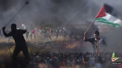 Photo of القوى الوطنية والإسلامية تدعو لتصعيد المقاومة الشعبية بوجه الاحتلال