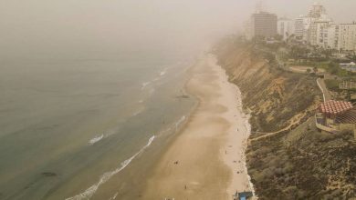 Photo of حالة الطقس: ضباب كثيف وأمطار وفيضانات في عدد من المناطق