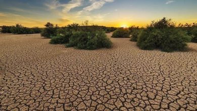 Photo of اتفاق عالمي حول تهديدات المناخ والأمم المتحدة تعتبره غير كاف