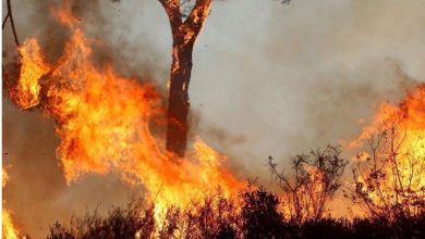 Photo of نيران تلتهم مساحات شاسعة بلبنان.. ومغردون: حرقوا البلد